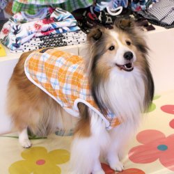 画像3: リフレッシュ☆チェック柄タンク（オレンジ）・５号