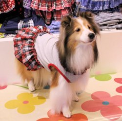 画像2: スクールチェック柄フリルワンピ（レッド）・４号