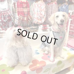 画像4: ツーウェイ☆グレンチェック柄ガーリーワンピ・８号