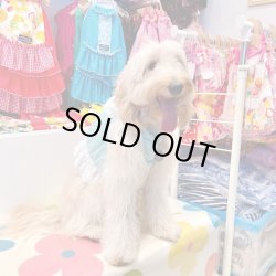 画像3: ビスチェ☆ミントグリーンのピンドット柄・６号