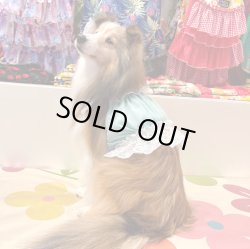 画像6: ビスチェ☆ミントグリーンのピンドット柄・６号