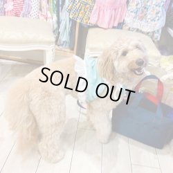 画像4: ビスチェ☆ミントグリーンのピンドット柄・６号