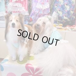 画像5: ビスチェ☆ミントグリーンのピンドット柄・６号