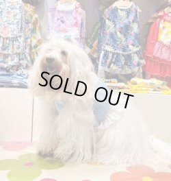 画像2: ビスチェ☆ブルーギンガムチェック柄・６号