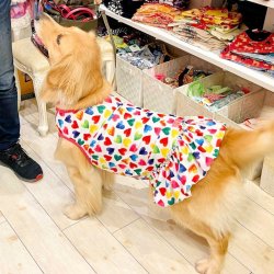 画像7: ツーウェイ☆カラフルハート柄フェミニンワンピ・９号