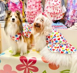 画像6: ツーウェイ☆カラフルハート柄フェミニンワンピ・９号