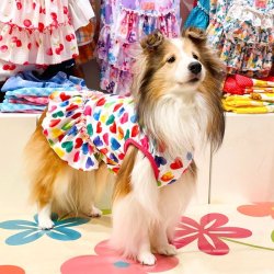 画像5: ツーウェイ☆カラフルハート柄フェミニンワンピ・９号