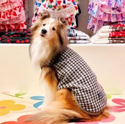 画像3: 千鳥柄ニットタンク（ブラウン）・９号