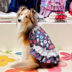 画像2: ツーウェイ☆スイーツ柄ガーリーワンピ・４号