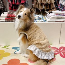 画像2: ベアーボアのモコモコワンピ（ベージュ）・１０号