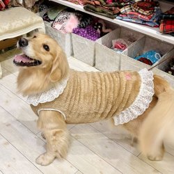 画像6: ベアーボアのモコモコワンピ（ベージュ）・１０号