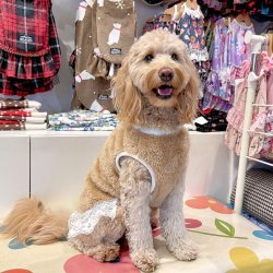 画像3: ベアーボアのモコモコワンピ（ベージュ）・１０号