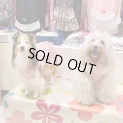 画像4: ピンクニットのペイズリー柄フリルワンピ・８号