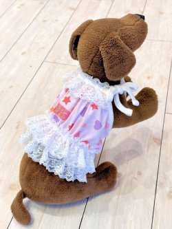 画像7: ツーウェイ★メルヘンピンク☆♡ラブリービスチェ・２号