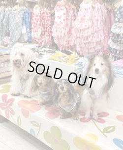 画像2: ライトグレーチェック柄ワンピ・４号