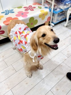 画像6: スイカ柄リップルビスチェ（ピンク）・１号