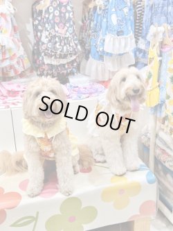 画像8: マーガレット柄ガーリービスチェ・１０号