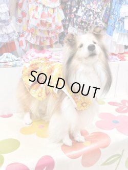 画像3: マーガレット柄フェミニンワンピ・９号