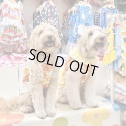 画像7: マーガレット柄ガーリービスチェ・１０号