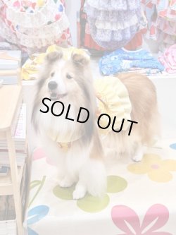 画像4: マーガレット柄ガーリービスチェ・１０号