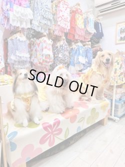 画像3: マーガレット柄ガーリービスチェ・１０号