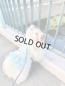 画像2: シャーベットブルー☆リップルワンピ・４号