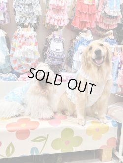 画像7: シャーベットブルー☆リップルビスチェ・４号