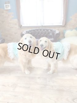 画像2: シャーベットブルー☆リップルビスチェ・４号