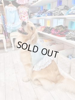 画像8: シャーベットブルー☆リップルビスチェ・４号