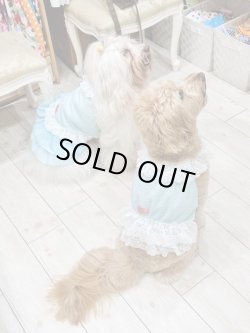 画像6: シャーベットブルー☆リップルビスチェ・４号