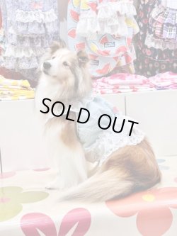 画像5: シャーベットブルー☆リップルビスチェ・４号