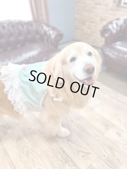 画像3: シャーベットブルー☆リップルビスチェ・４号