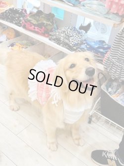 画像7: 綿混☆ピンクチェック柄ビスチェ・１号