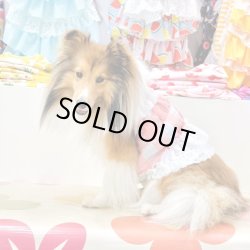 画像5: 綿混☆ピンクチェック柄ビスチェ・１号