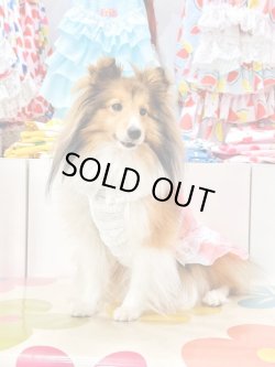 画像5: 綿混☆ピンクチェック柄ワンピ・５号