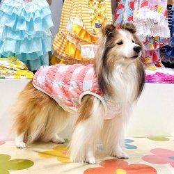 画像3: 綿混☆ピンクチェック柄タンク・２号