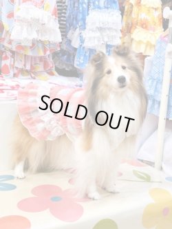 画像4: 綿混☆ピンクチェック柄ワンピ・５号