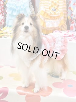 画像3: 綿混☆ピンクチェック柄ワンピ・５号