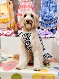 画像5: モノクロリーフ柄ワンピ・４号