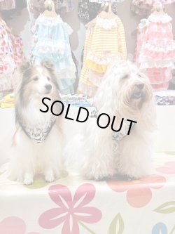 画像3: モノクロリーフ柄タンク・７号