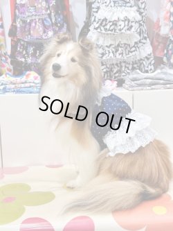 画像6: ライトツーウェイ☆ネイビー♡ピンドット柄ビスチェ・３号