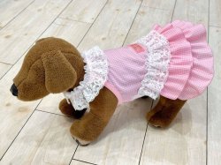 画像8: パステルピンクのギンガムチェック柄ワンピ・１号