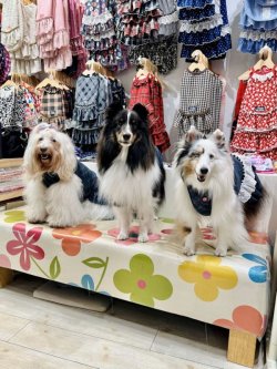 画像5: ハイテンション☆デニム風チェック柄ガーリーワンピ・１０号