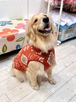 画像9: ネイティブ柄モコモコボアタンク(オレンジ)・２号