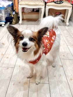 画像4: ネイティブ柄モコモコボアタンク(オレンジ)・２号