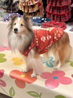 画像5: ネイティブ柄モコモコボアタンク(オレンジ)・２号