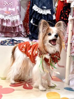 画像2: ネイティブ柄モコモコボアタンク(オレンジ)・２号