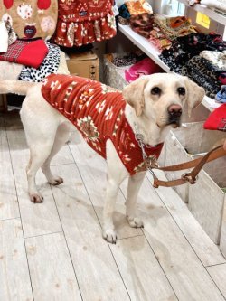 画像8: ネイティブ柄モコモコボアタンク(オレンジ)・２号