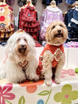 画像6: ネイティブ柄モコモコボアタンク(オレンジ)・２号