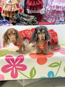 画像3: ネイティブ柄モコモコボアタンク(オレンジ)・２号